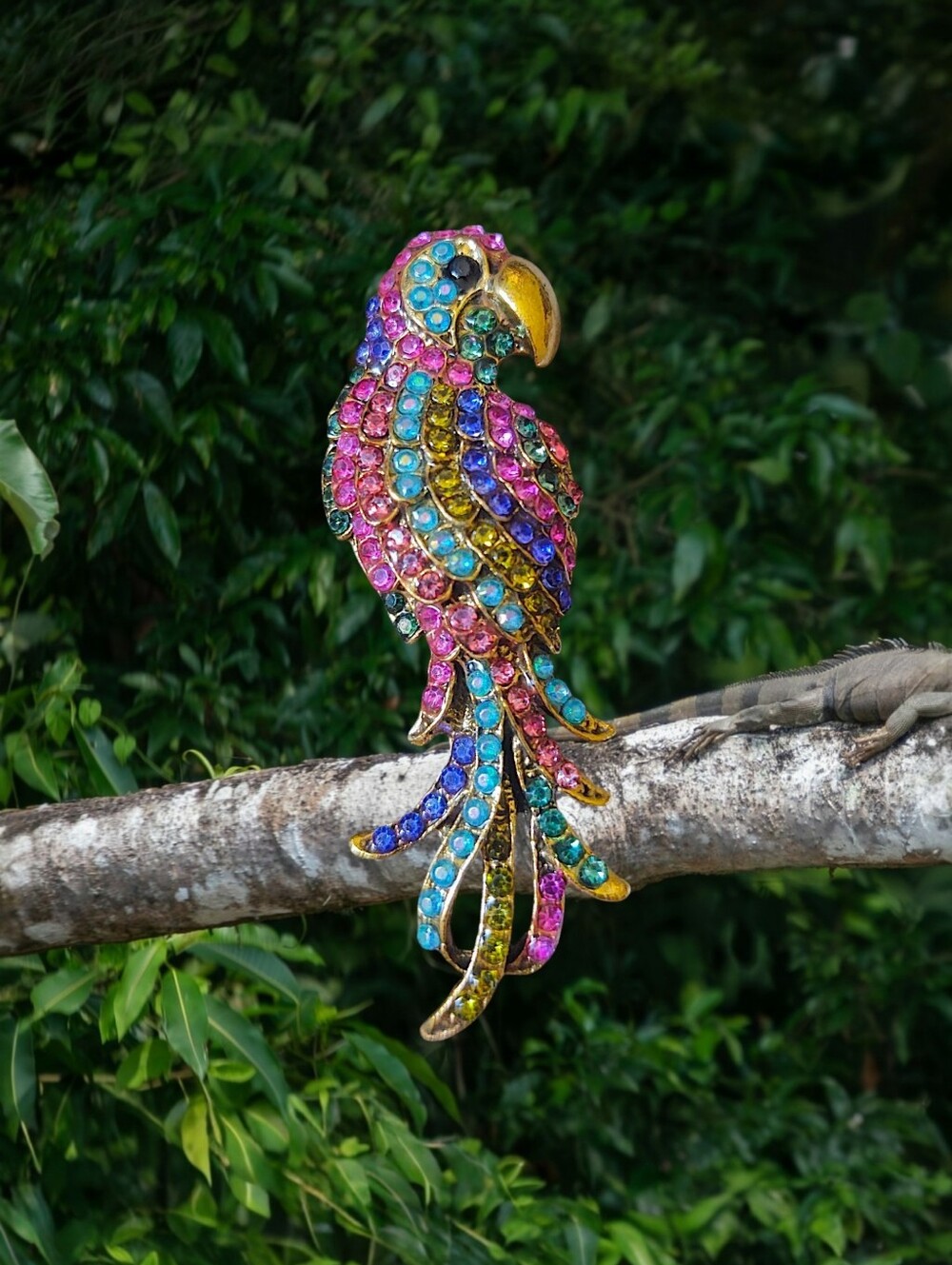 Multi-Color Rhinestones Parrot Brooch